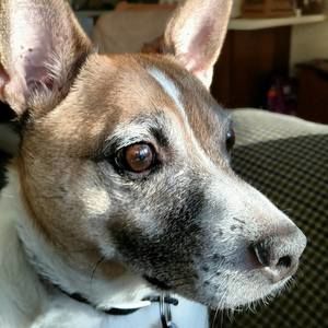 Meet your Posher, Tim